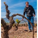 Alberto Orte en el viñedo Alberto Orte en el viñedo