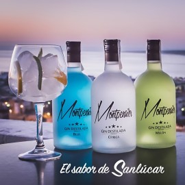 Ginebra Premium Montpensier