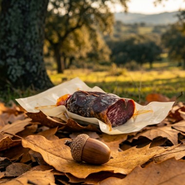 Lomito ibérico de bellota Ibéricos Benito