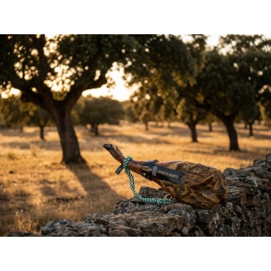 Paleta de cebo de campo 50% raza ibérica Tesoro de Benito