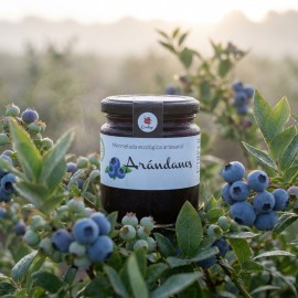 Mermelada ecológica de Arándanos Conservas Contigo