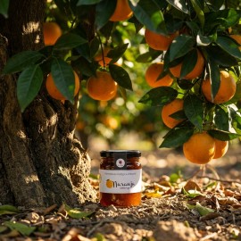 Mermelada ecológica de Naranja amarga Conservas Contigo