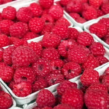 Mermelada ecológica de frambuesa Conservas Contigo